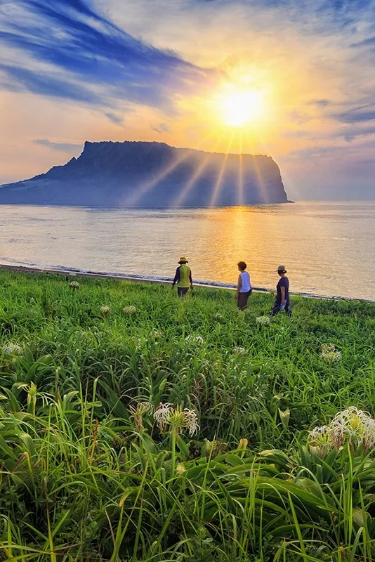 Cráter volcánico de Seongsan Ilchulbong en la isla de Jeju al amanecer
