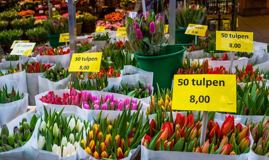 Mercado de las Flores Ámsterdam